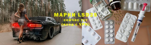 прущие грибы Балабаново