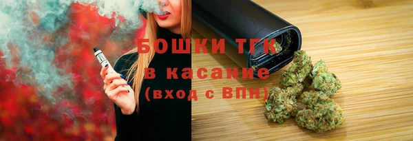 прущие грибы Балабаново