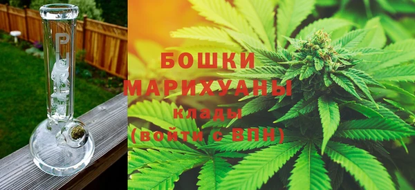 шишки Белокуриха