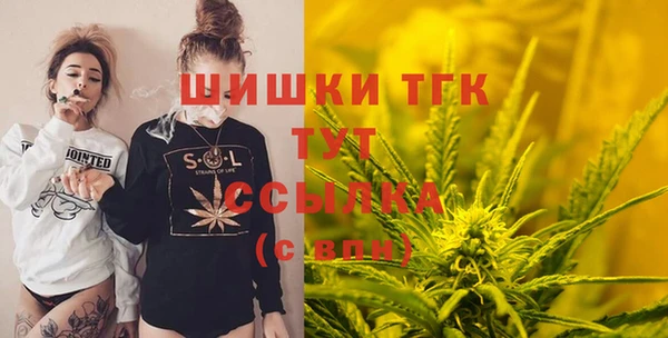 прущие грибы Балабаново